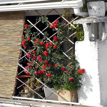 Bed and Breakfast L'alcova *